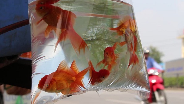 Осум најлуди нешта кои авионските патници ги направиле за да ја измамат контролата