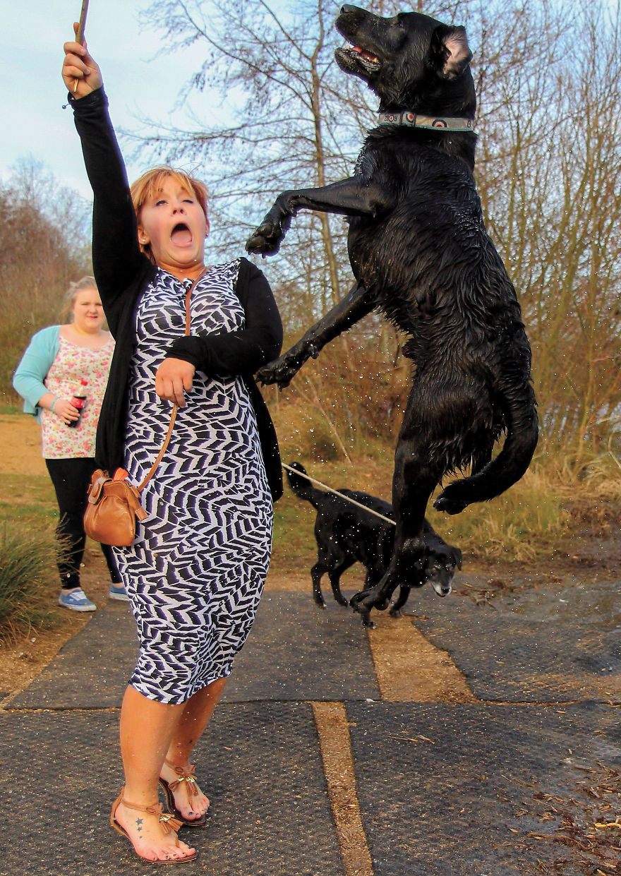 30 фотографии од кучиња направени од уличен фотограф кој е професионалец при фотографирање совршени моменти