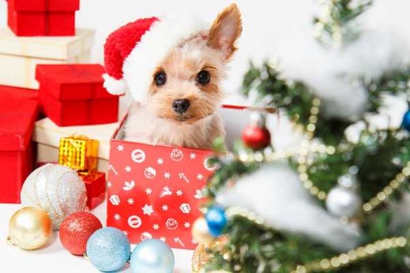 10 најлоши подароци за Нова година и Божиќ