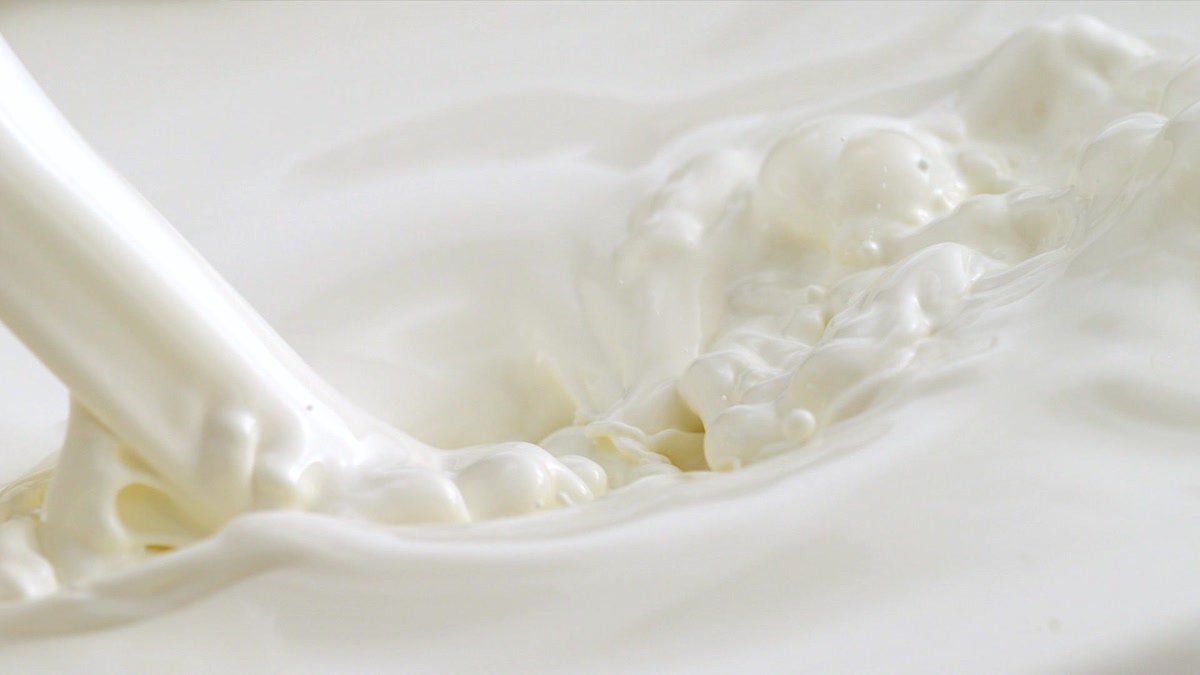 Дали правите разлика помеѓу основните видови јогурт?