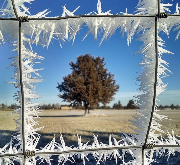Фотографии што ќе ги задоволат сите перфекционисти