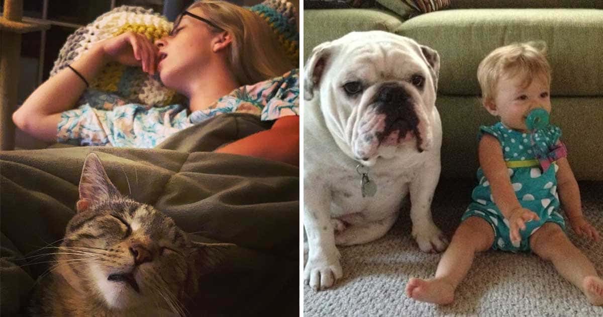 20 фотографии кои покажуваат дека милениците сè повеќе стануваат како нивните сопственици