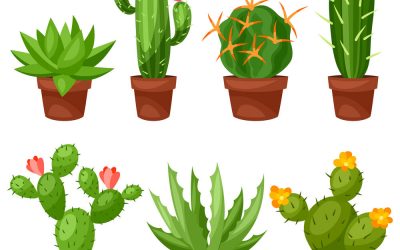 Изберете каков кактус најмногу ви се допаѓа и дознајте каква порака тој ви носи