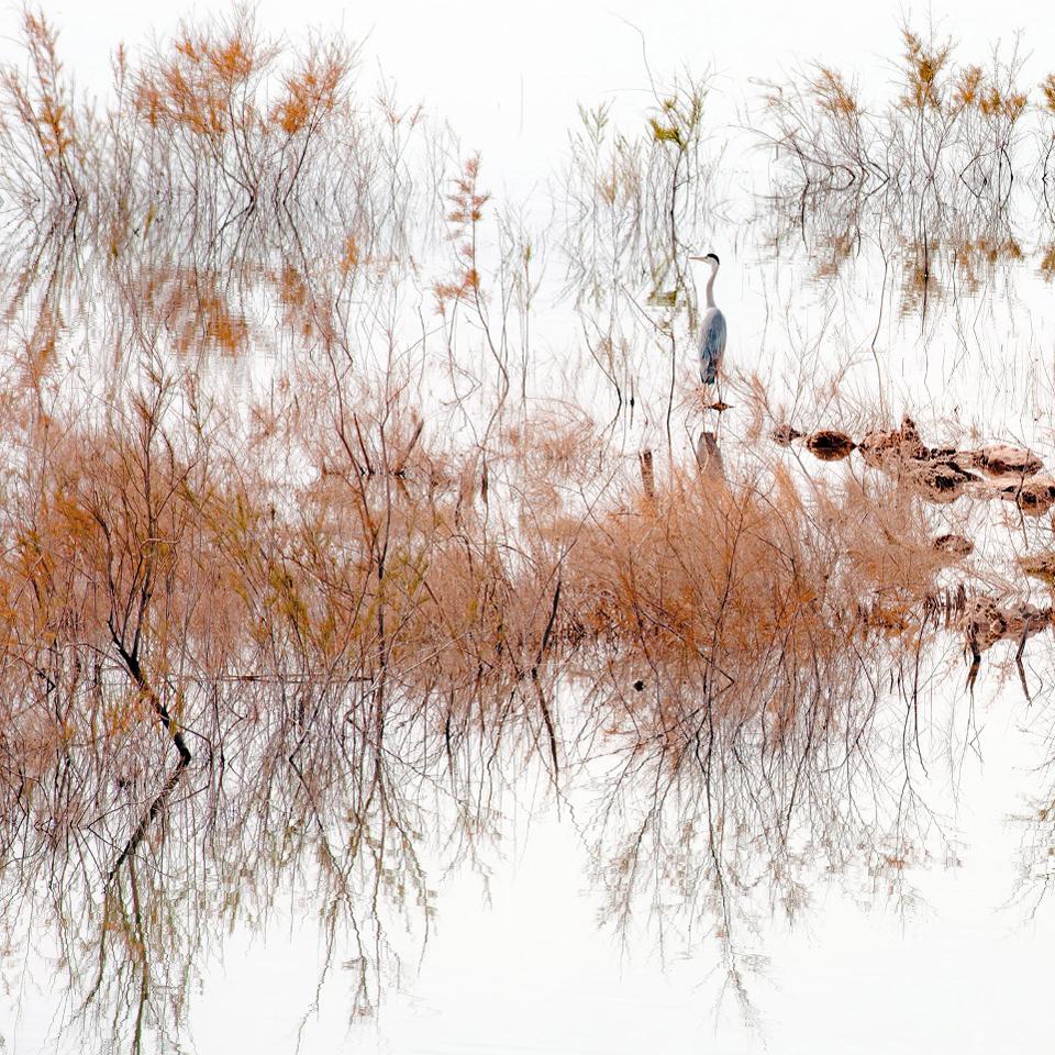 25 прекрасни фотографии што се прогласени за најдобрите фотографии од патувања