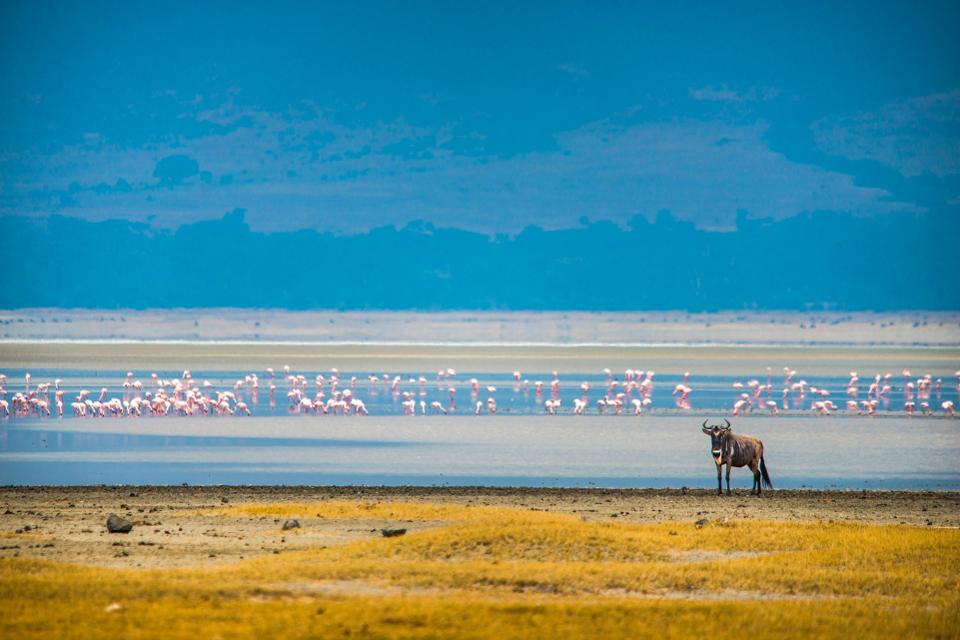 25 прекрасни фотографии што се прогласени за најдобрите фотографии од патувања