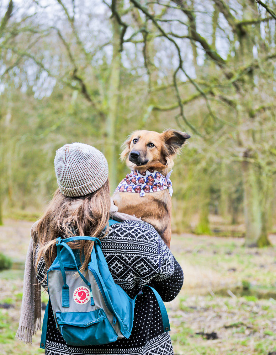 Авантурите на едно посвоено куче што се плаши да пешачи