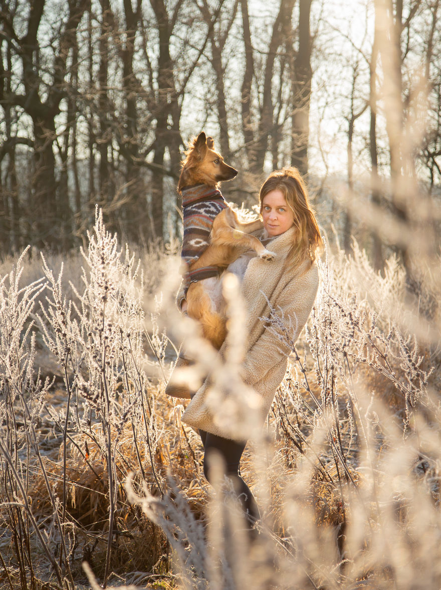 Авантурите на едно посвоено куче што се плаши да пешачи