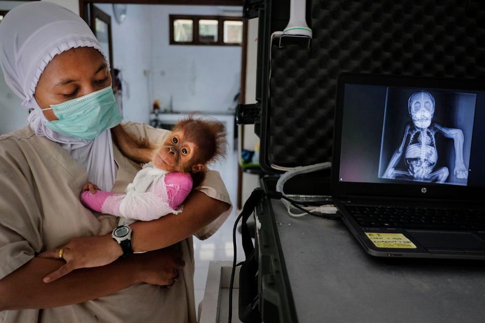 25 прекрасни фотографии што се прогласени за најдобрите фотографии од патувања