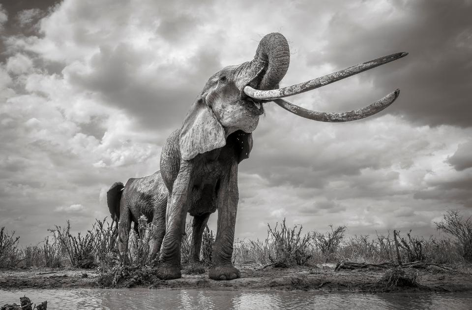 25 прекрасни фотографии што се прогласени за најдобрите фотографии од патувања