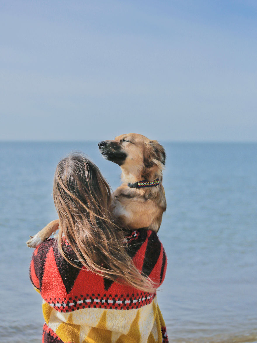 Авантурите на едно посвоено куче што се плаши да пешачи