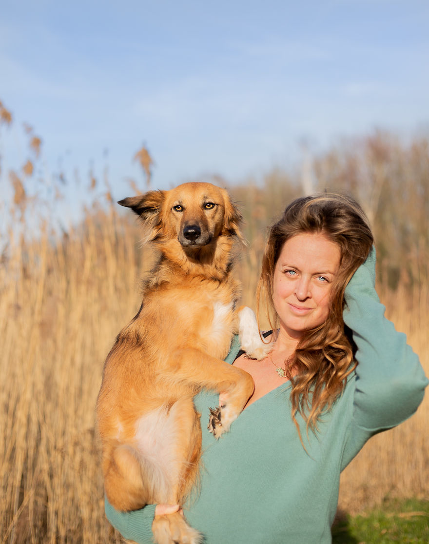 Авантурите на едно посвоено куче што се плаши да пешачи