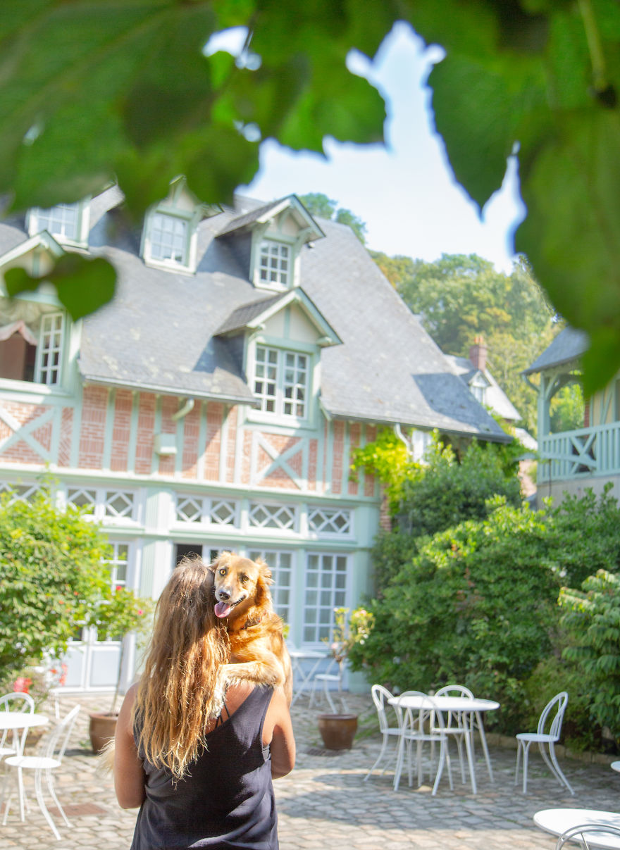 Авантурите на едно посвоено куче што се плаши да пешачи