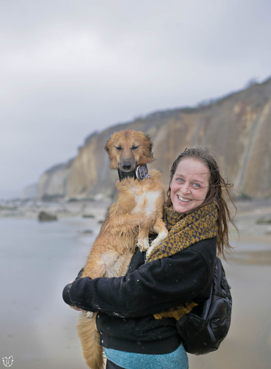 Авантурите на едно посвоено куче што се плаши да пешачи