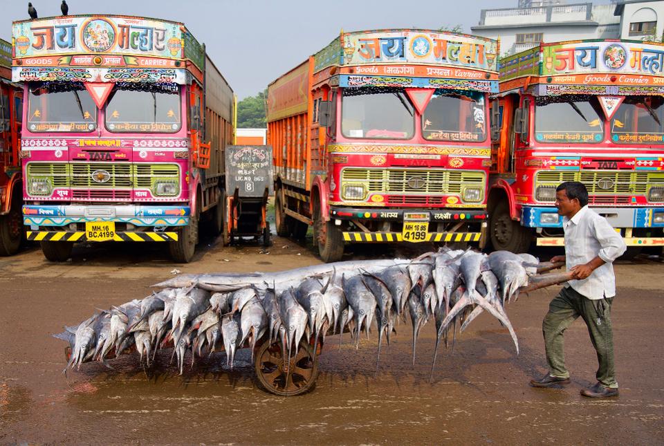 25 прекрасни фотографии што се прогласени за најдобрите фотографии од патувања