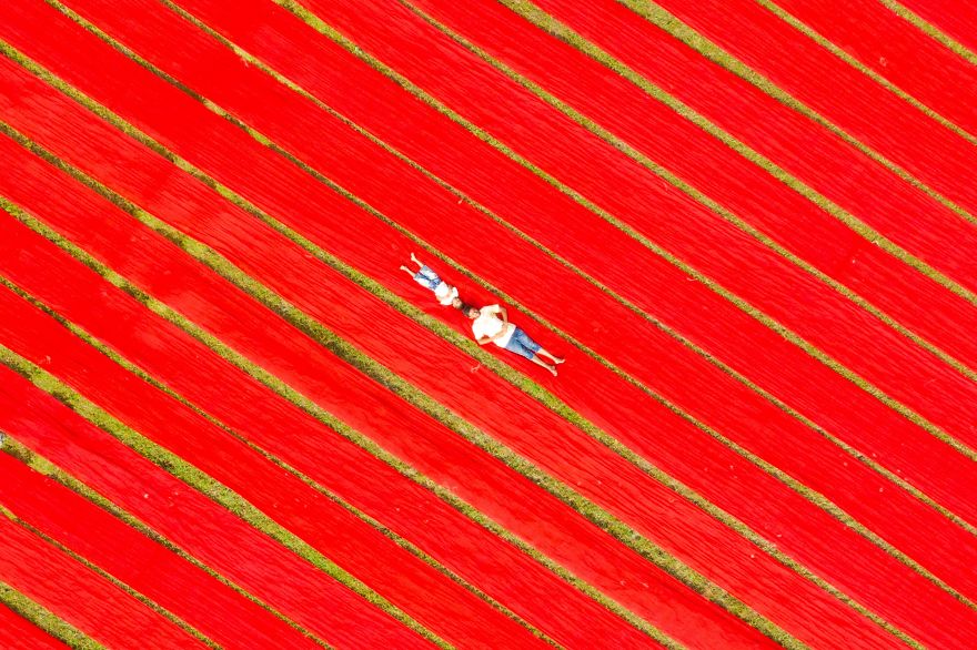 Фотографи од целиот свет одговараат на прашањето „Што е пријателство?“