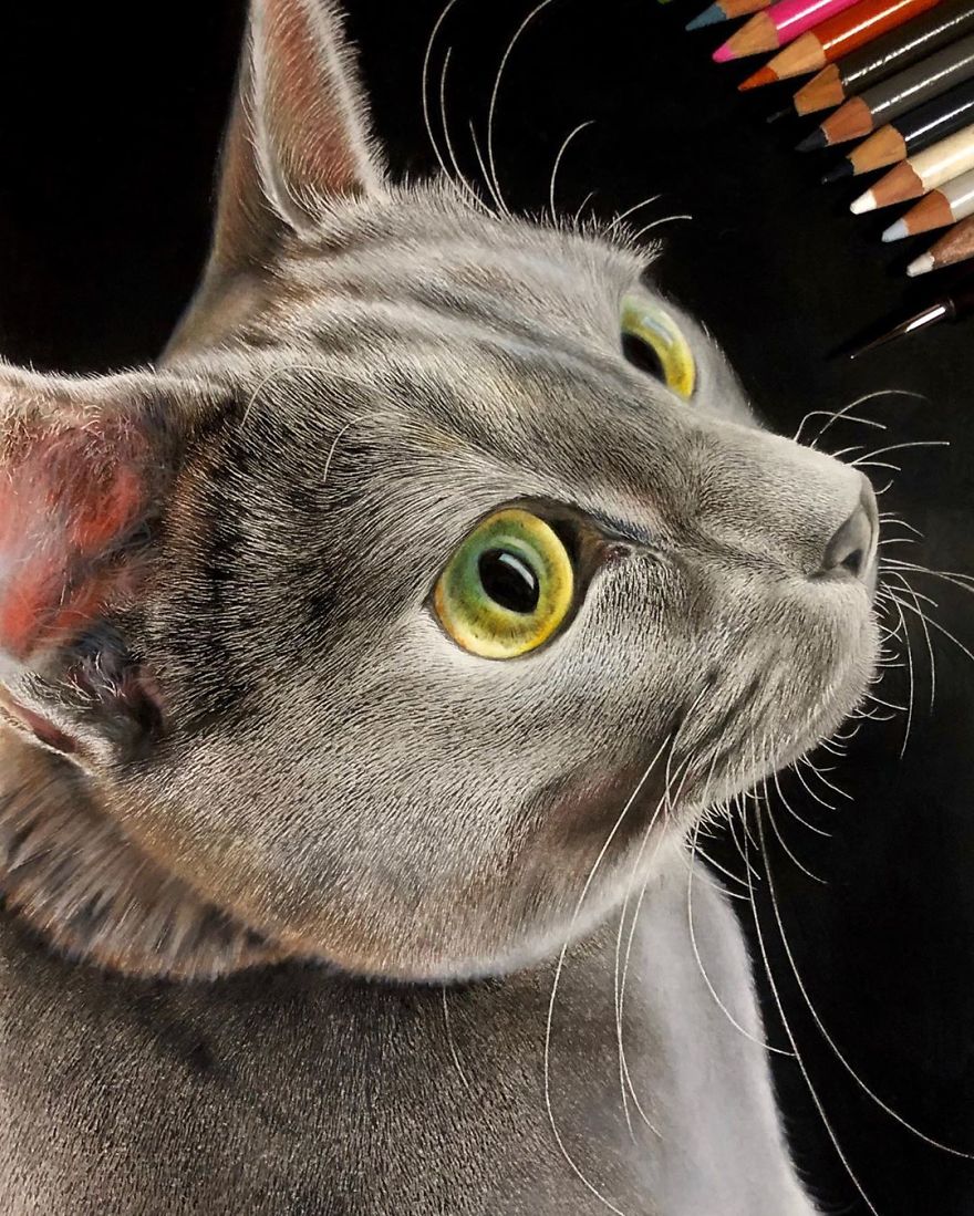23 неверојатно реалистични цртежи на мачки 