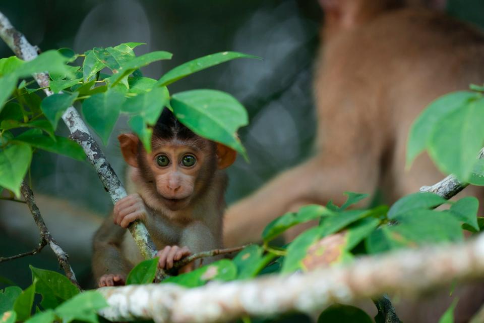 25 прекрасни фотографии што се прогласени за најдобрите фотографии од патувања