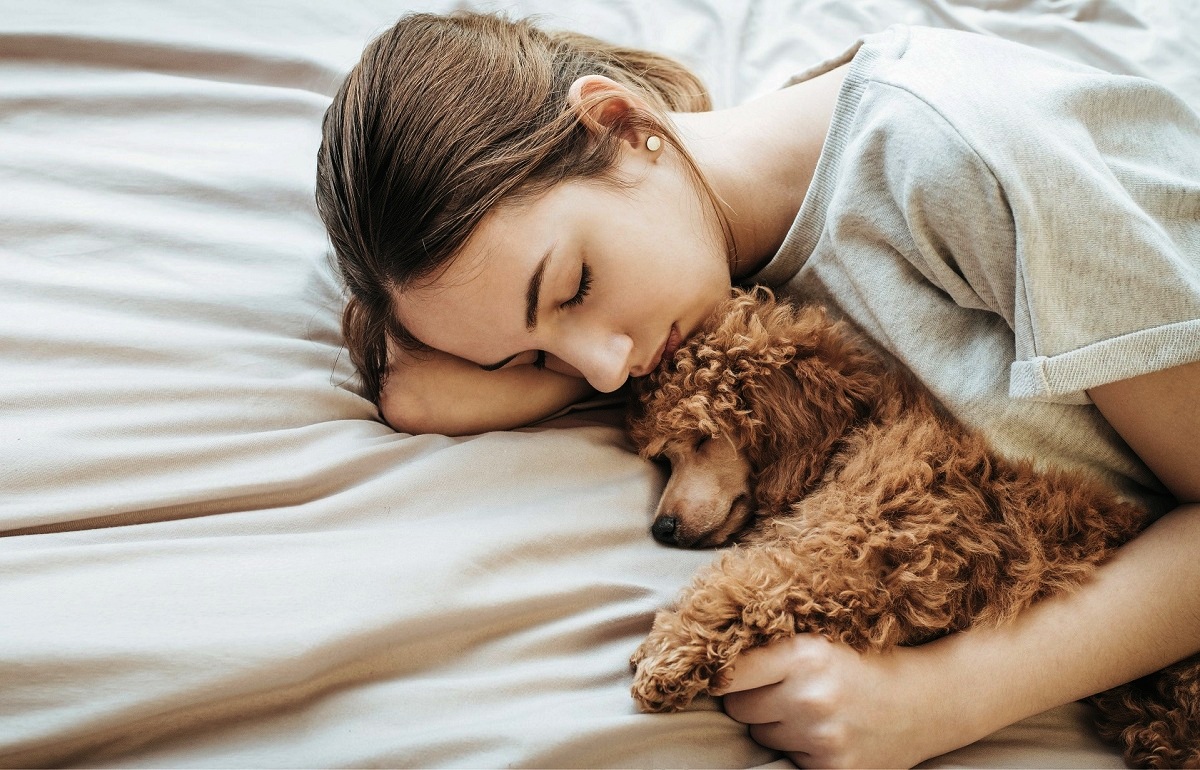 Какви се последиците од спиењето со куче или со мачка?