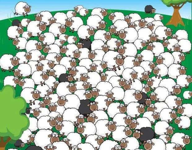Загатка: Пронајдете ги овцата што спие и кучето што го чува стадото