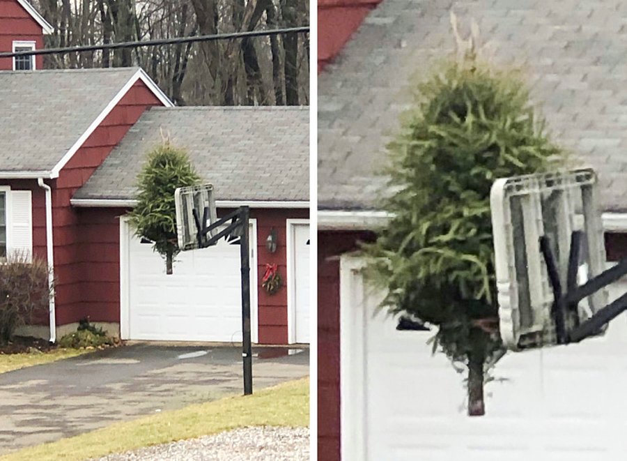 14 неуморни соседи кои не знаат да бидат досадни