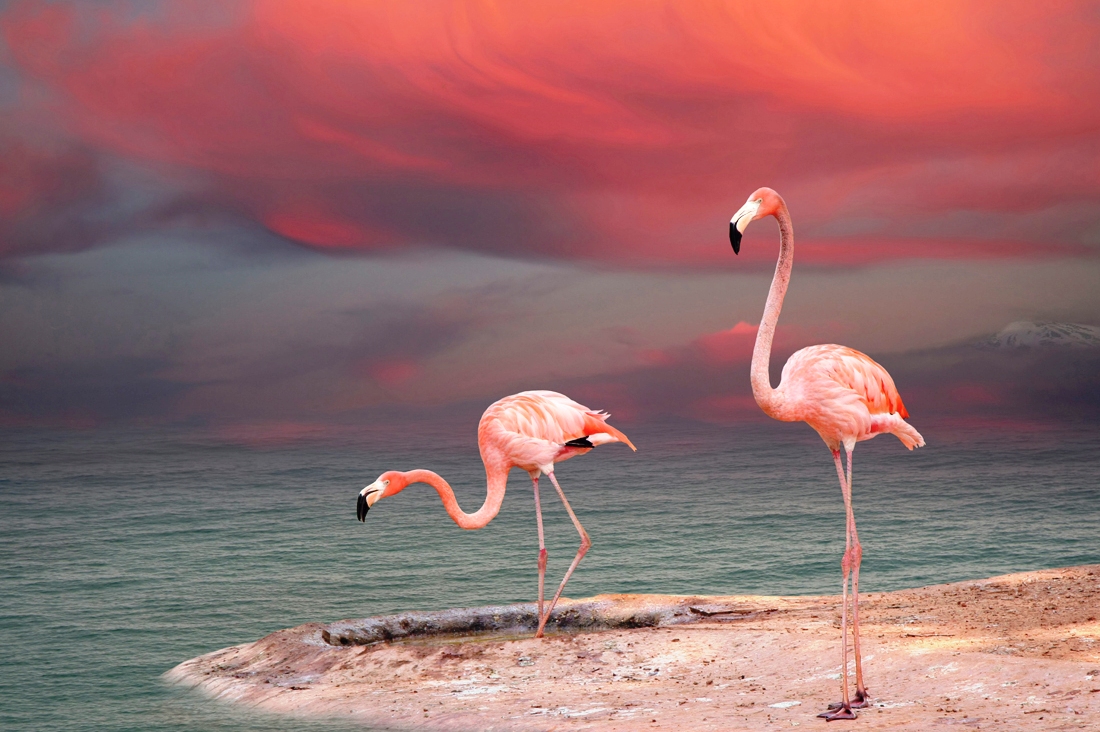 14 апсурдни факти што најверојатно не сте ги знаеле