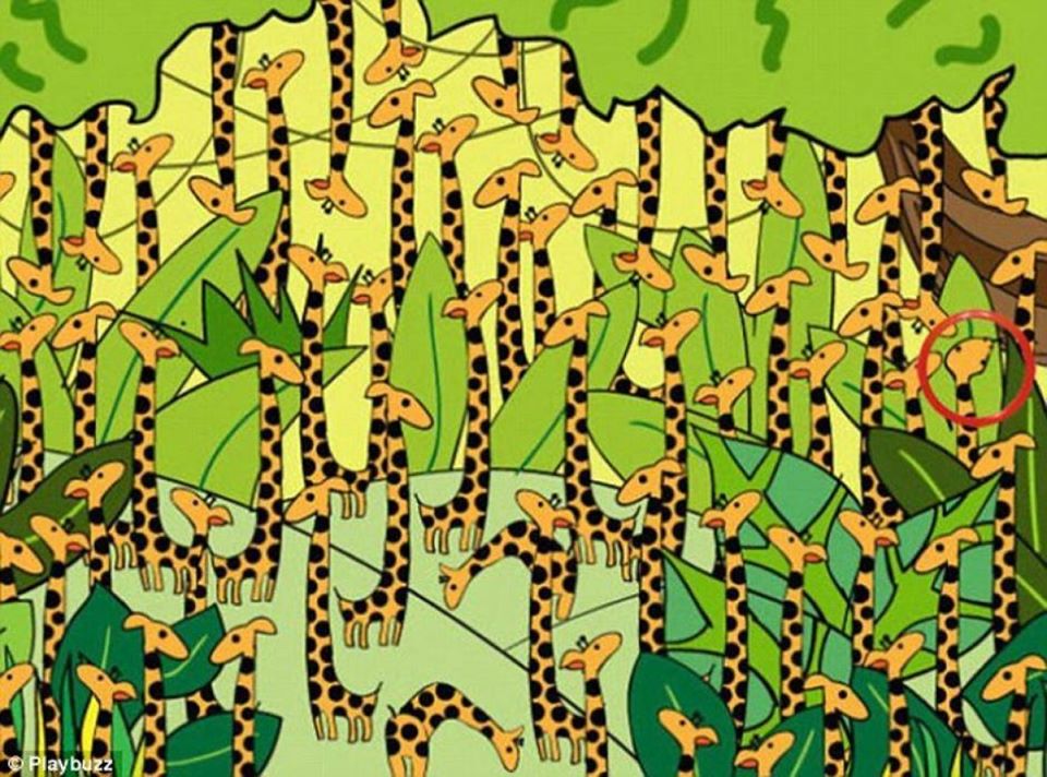 За оние со око соколово: Можете ли да ја најдете змијата меѓу сите овие жирафи?