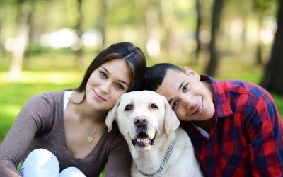 4 причини зошто паровите кои се грижат за куче се посреќни
