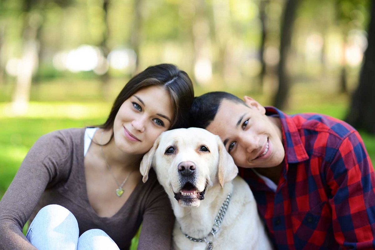 4 причини зошто паровите кои се грижат за куче се посреќни