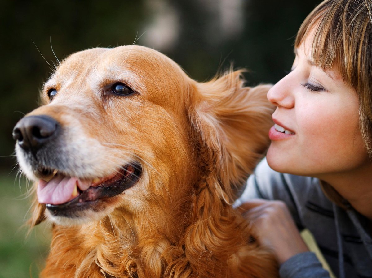 7 совети: Како да се грижите за домашните миленици за време на пандемија