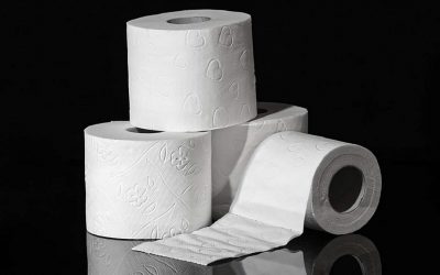 Од пченкарен кочан до сунѓер: Што сè некогаш се користело наместо тоалетна хартија?