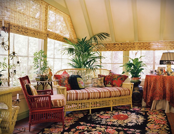 Запознајте ја палмата „елеганс“: преубавата салонска палма која ќе го освежи вашиот дом