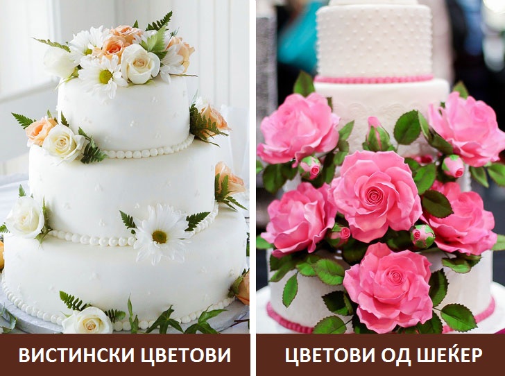 16 тајни на слаткарите за коишто не зборуваат ни меѓусебно