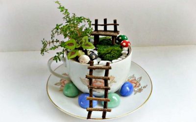 Градините во шолја за чај стануваат симпатичен тренд