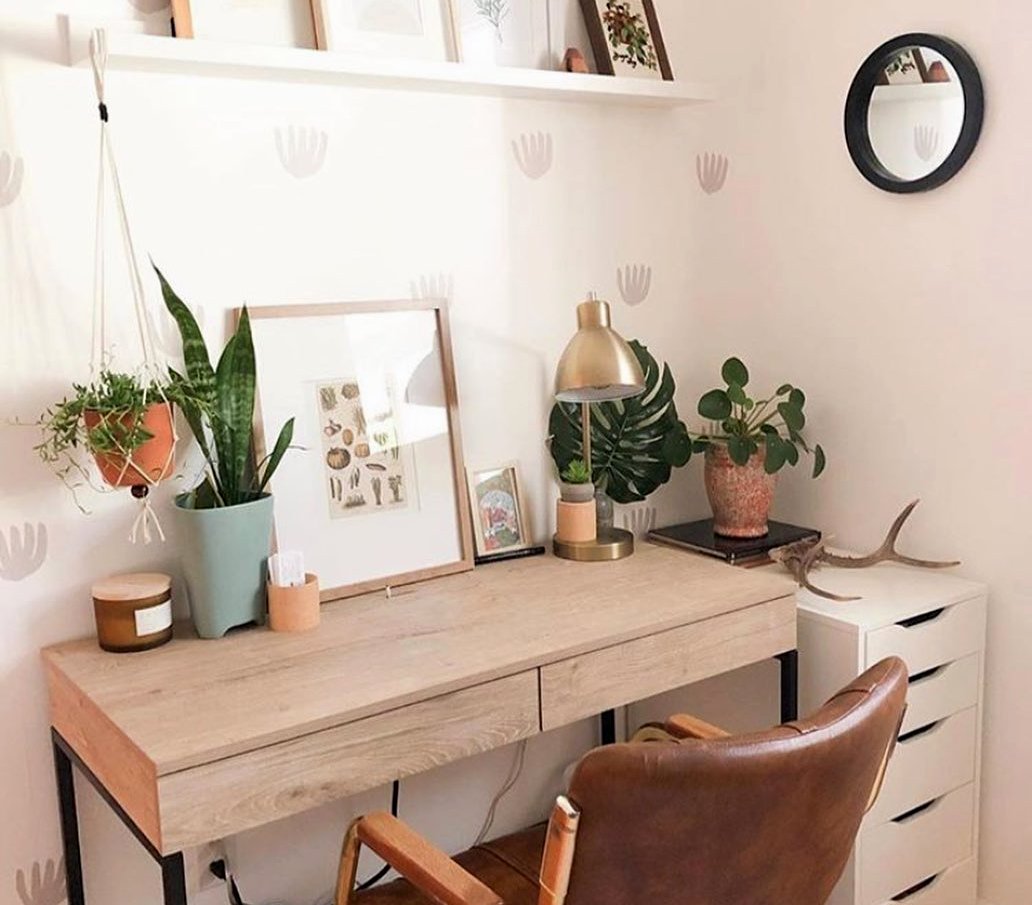 Освежете го домот за време на изолацијата: Како да го транформирате просторот со помош на растенија?