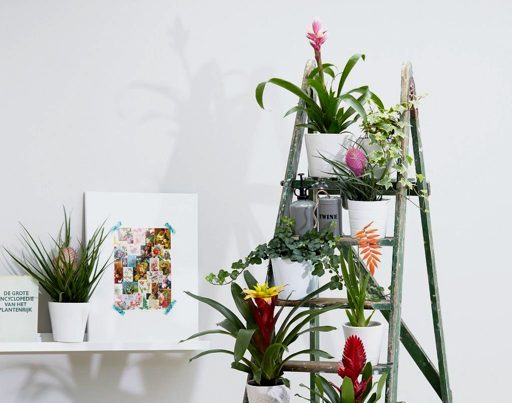 15 начини како да ја претворите скалата во најубавата полица во домот