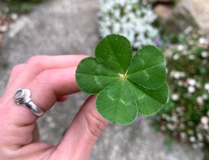 16 луѓе што откриле нешто убаво и одлучиле да го споделат со светот