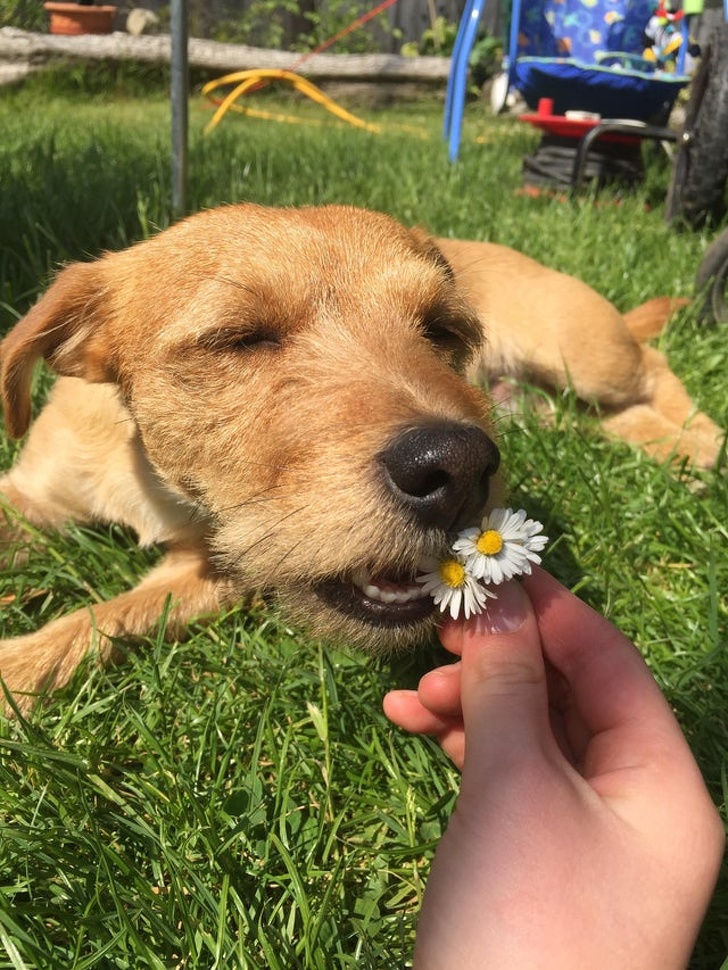 26 фотографии што покажуваат како изгледа пролетта низ целиот свет