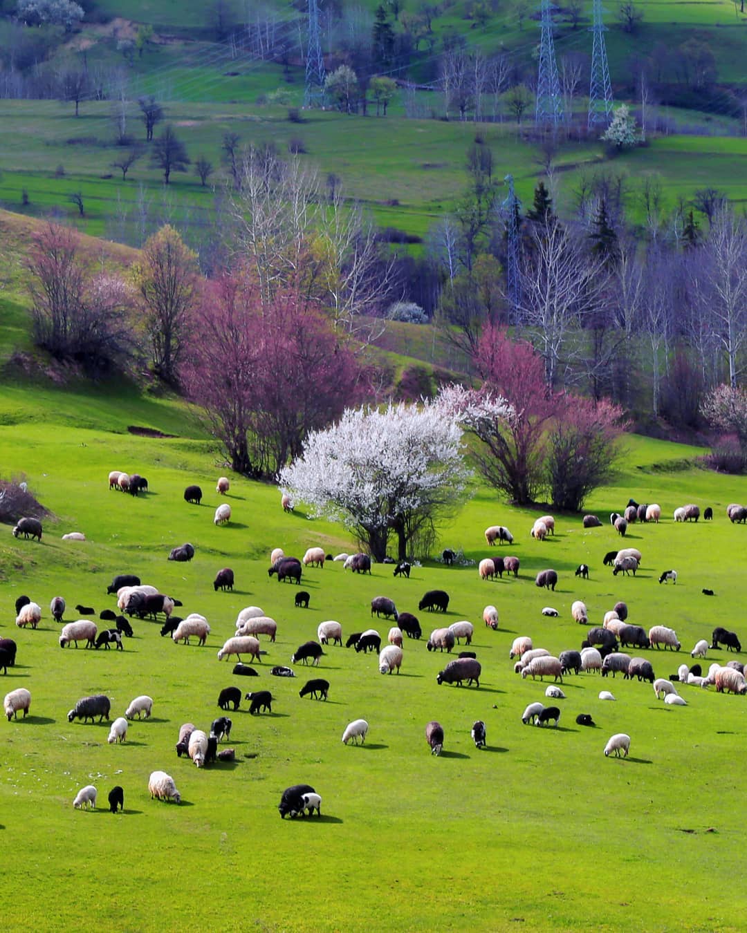 26 фотографии што покажуваат како изгледа пролетта низ целиот свет