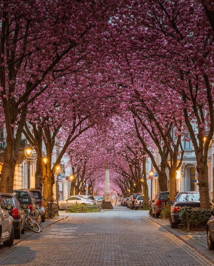 26 фотографии што покажуваат како изгледа пролетта низ целиот свет