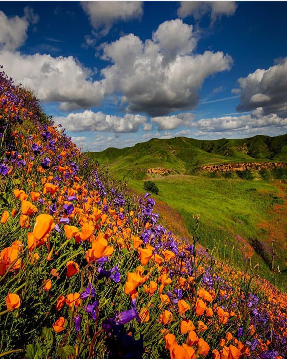 26 фотографии што покажуваат како изгледа пролетта низ целиот свет