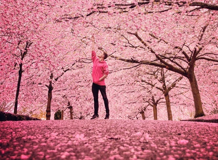 26 фотографии што покажуваат како изгледа пролетта низ целиот свет