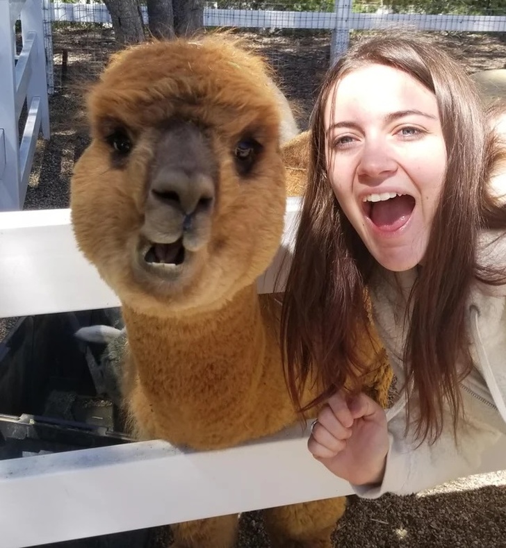 На овие животни не им треба многу за да бидат среќни и тие се пример кој треба да го следиме