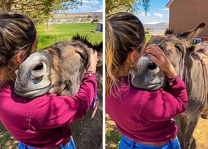 На овие животни не им треба многу за да бидат среќни и тие се пример кој треба да го следиме