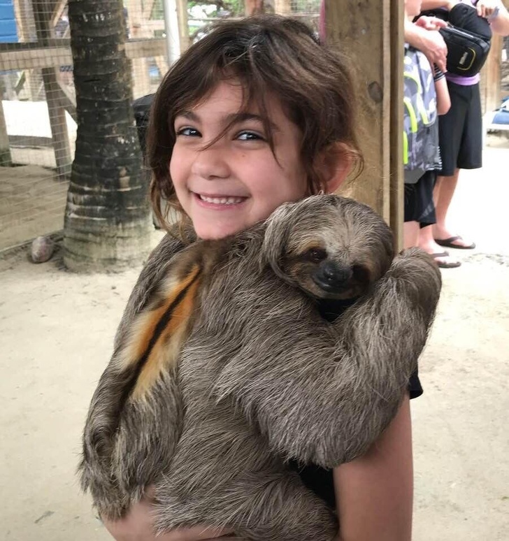 На овие животни не им треба многу за да бидат среќни и тие се пример кој треба да го следиме