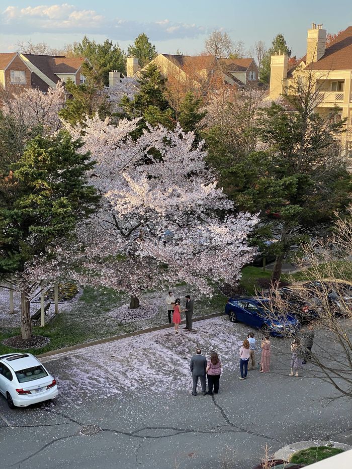 Фотографии од свадби за време на карантин