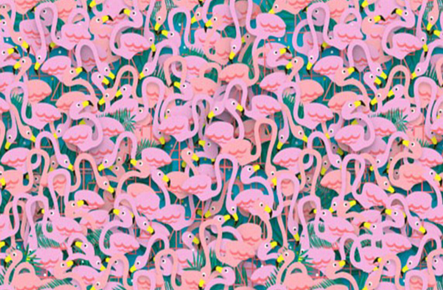 Загатка: Дали можете да ја пронајдете балерината меѓу фламингата?