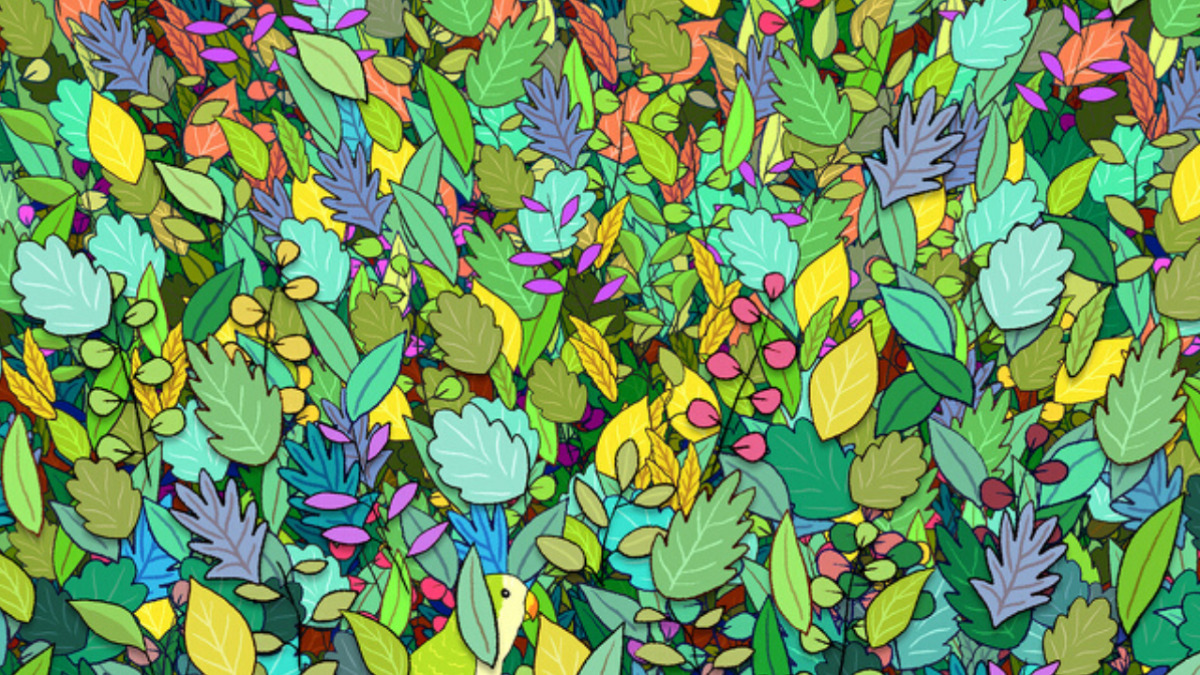 Пронајдете ги скриените предмети во овие 15 загатки