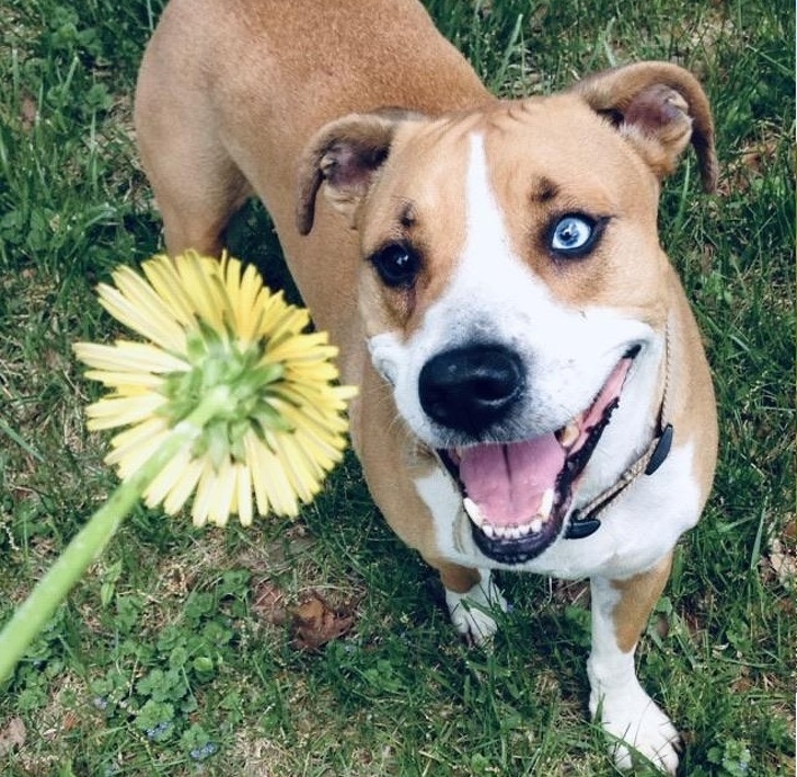На овие животни не им треба многу за да бидат среќни и тие се пример кој треба да го следиме