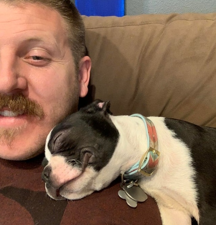 На овие животни не им треба многу за да бидат среќни и тие се пример кој треба да го следиме