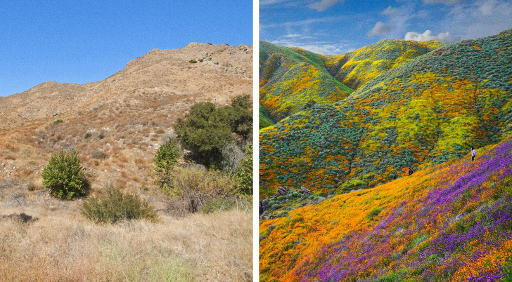 Хималаите се видливи за првпат по 30 години и уште 14 настани што се случуваат многу ретко